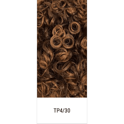 Femi Collection Afro Wig
