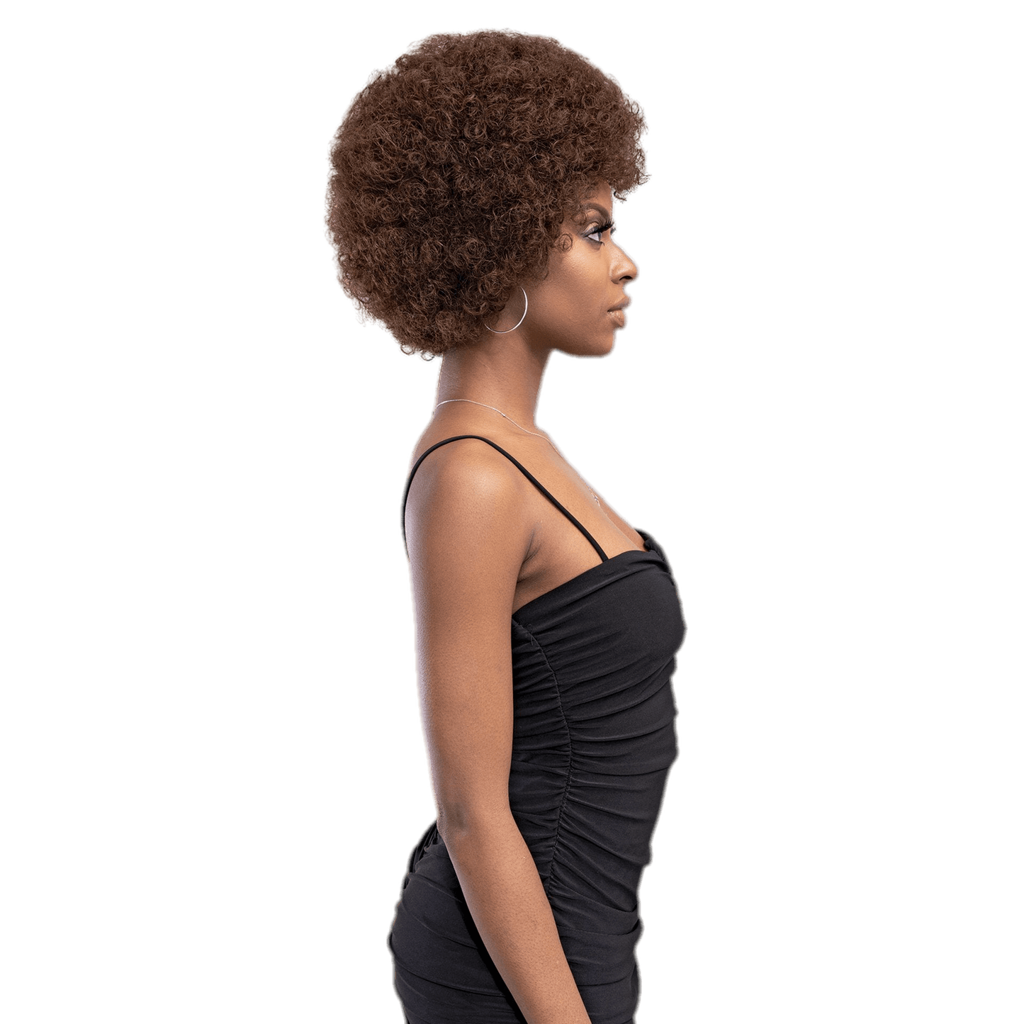 Femi Collection Afro Wig
